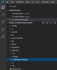 Add-image-to-project